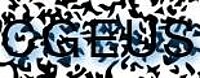 grafischer Sicherheitscode