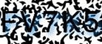 grafischer Sicherheitscode