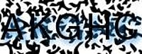 grafischer Sicherheitscode